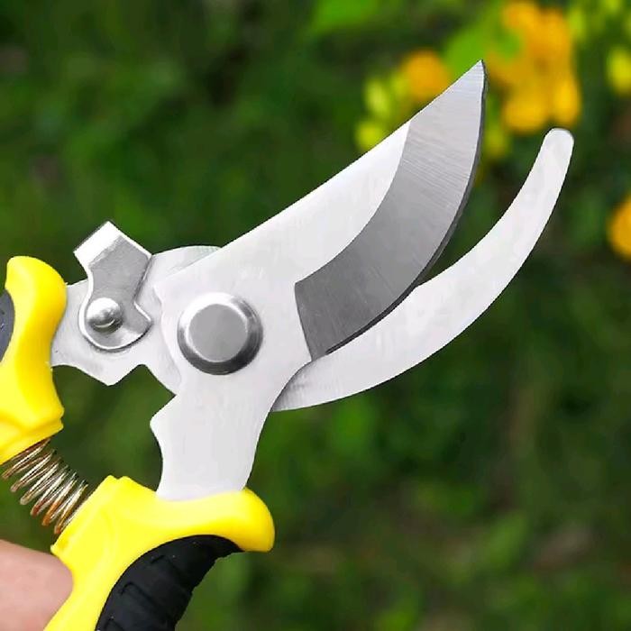 Pilihan- Gunting Kuku Domba Dan Kambing 100% Tajam "Kuning"
