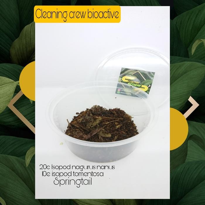 Pilihan- Cleaning Crew Bioactive Vivarium