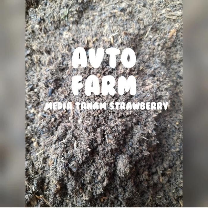 media tanam strawberry siap pakai -5kg