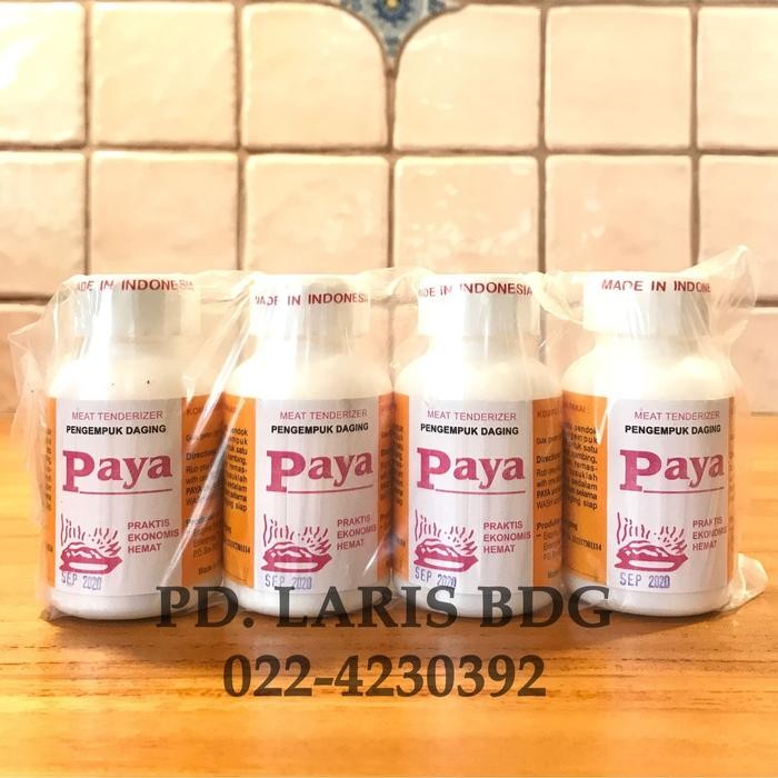 

PAYA TEPUNG PENGEMPUK DAGING 4X70GR (MEAT TENDERIZER)