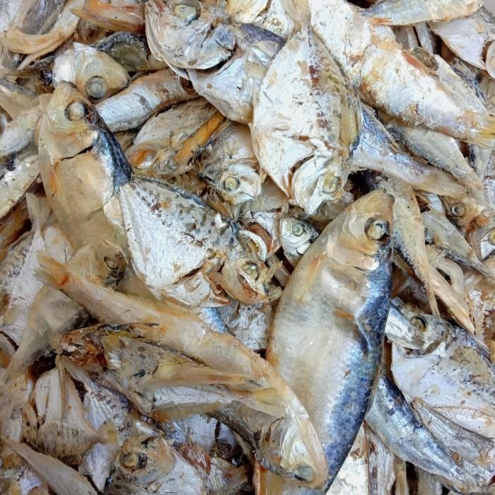 

(Expert) Ikan Campur 250 gram