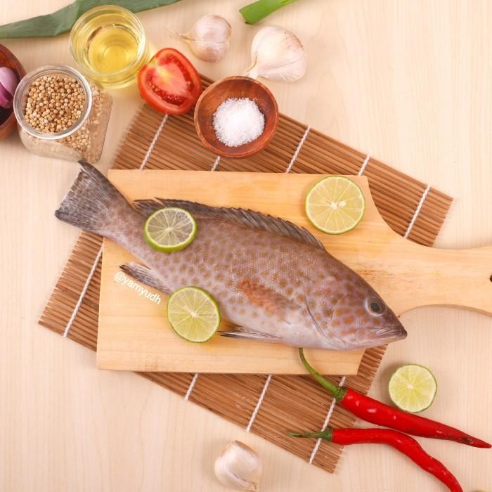 

(Expert) Ikan Kerapu 1kg