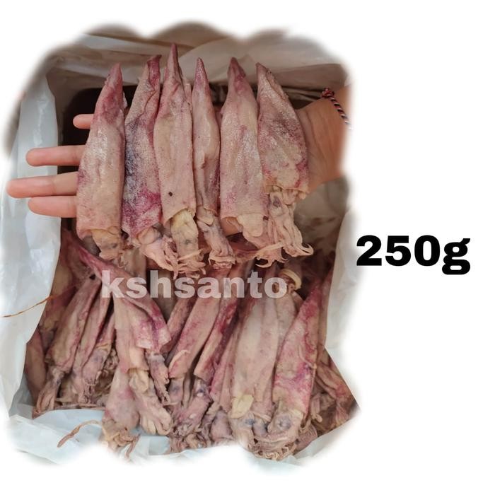 

Aneka Ikan Asin Cumi/Cumi Telur/Cumi Beby/Cumi Lontar-250G