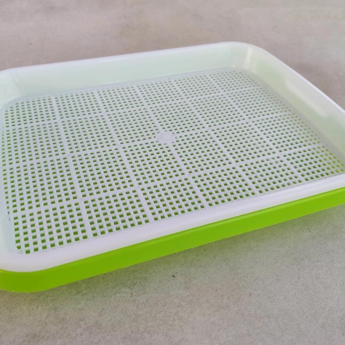 Tray Microgreen 6 Set