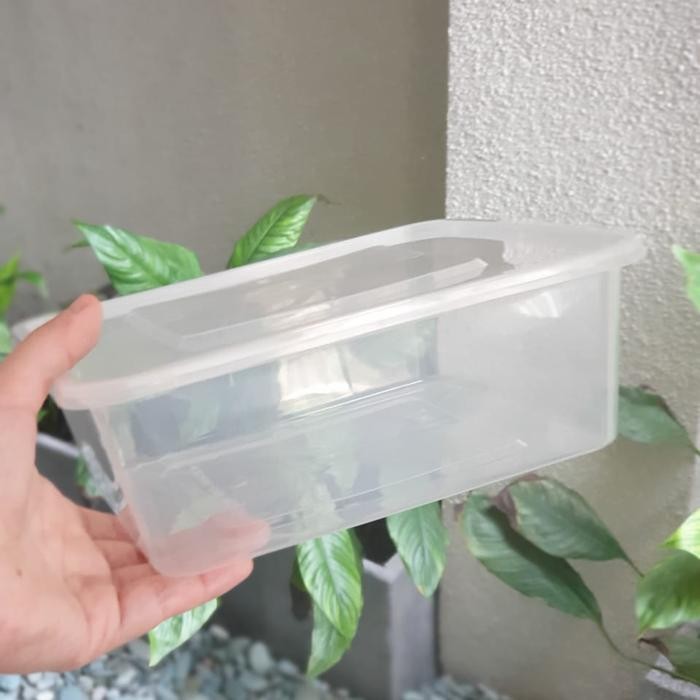 Thinwall Square 2000Ml / Thinwall Kotak 2000Ml. Isi 25Pcs Terlaris