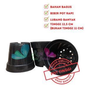 ern 200pcs Pot Bunga 15cm Hitam - Toko Pot Tanaman Hias GrosirMurah Plastik 15 cm