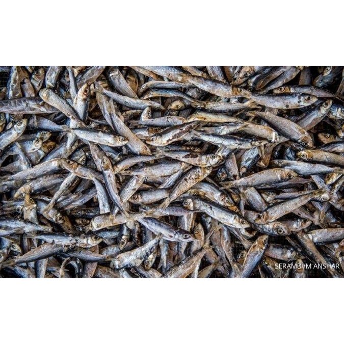 

PREMIUM IKAN KERING MANDRING / IKAN TERI MANDRING