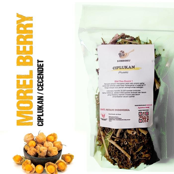 

PREMIUM Ciplukan Kering 50 Gram Teh Daun Akar Cecendet Kering Tea pouch