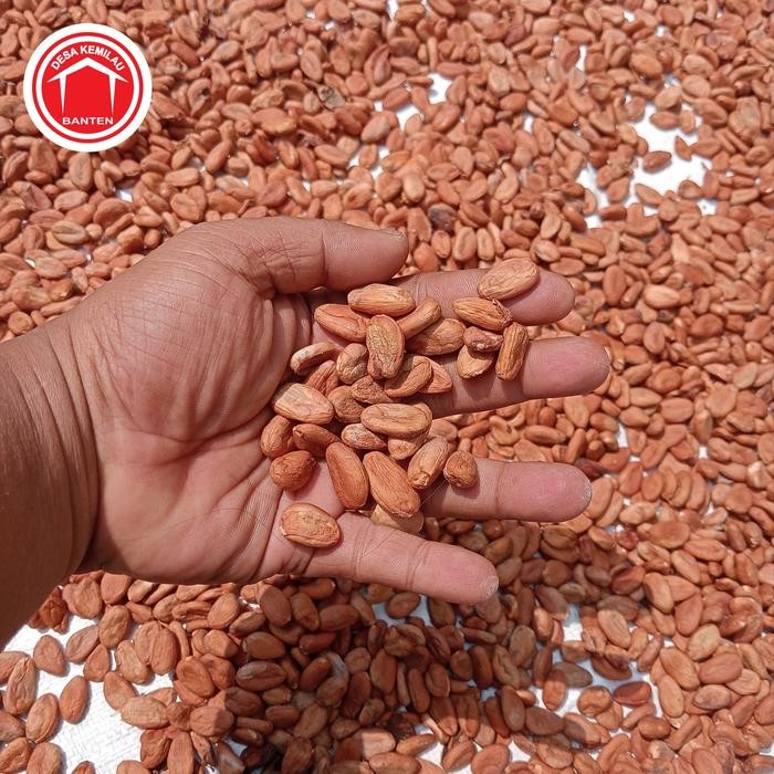

PREMIUM Biji Cokelat Kering
