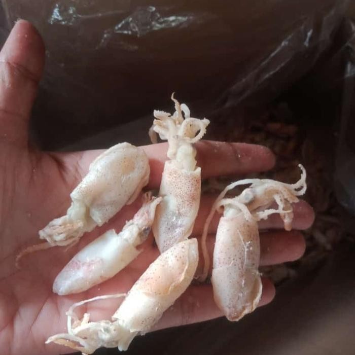 

PREMIUM Baby cumi asin kering/Baby cumi asin super 500 gram