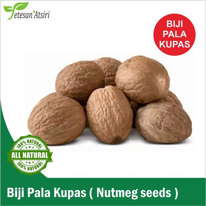 

PREMIUM Biji Buah Pala Kering satuan Utuh dengan Batok dan kupas nutmeg whole 100gram 1kg perbiji