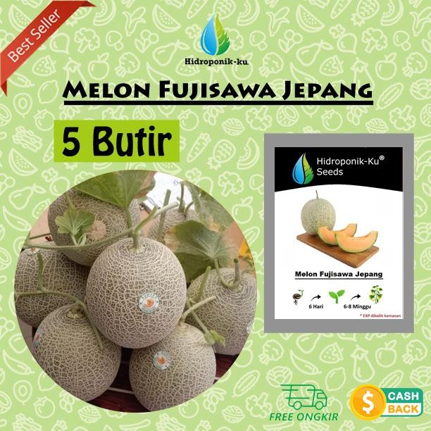 Bibit / Benih Melon Fujisawa Jepang (5 Butir) - Hoponik Ku *
