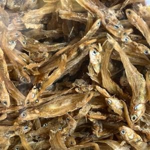 

TERI PENJA PREMIUM – Kering Bersih, Cocok untuk Sambal & Tumis
