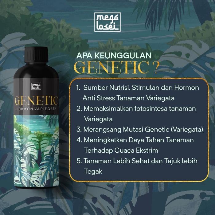 Variegata Plantcare Paket Pupuk Vitamin Hormon Tanaman Variegata