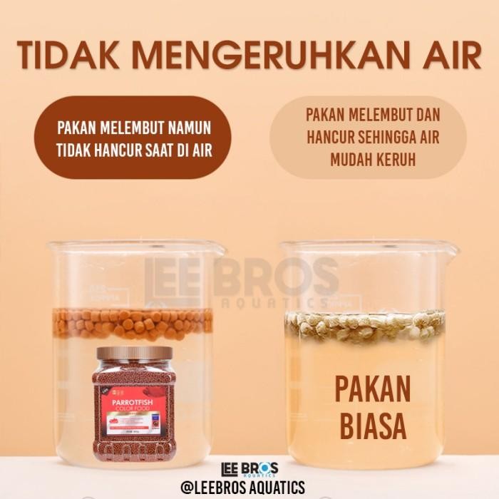 PAKAN RED PARROT / PELET BLOOD RED PARROT / MAKANAN IKAN RED PARROT