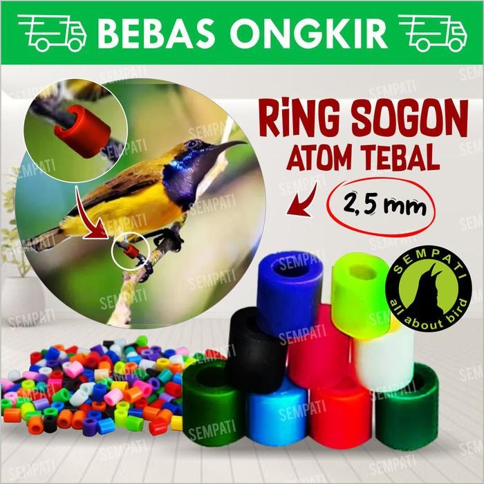 Ring sogon ring atom plastik burung pleci sogon blackthroat 2,5mm