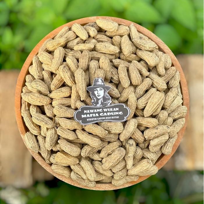 

New 1 KG KACANG SANGRAI MAFIA RASA MANIS GURIH RENYAH ISI MENTES MENTES KACANG BENDO ASLI