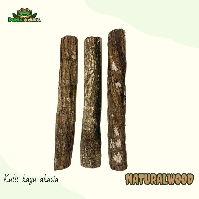 [Expert] Kulit kayu untuk background vivarium