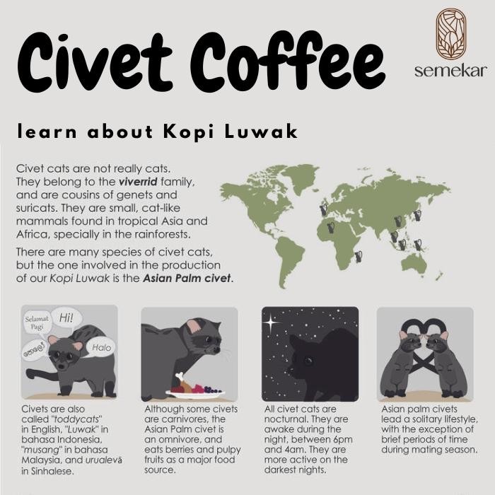 

SEMEKAR COFFEE - KOPI LUWAK LIAR ARABICA ACEH GAYO ASLI FRESH ROASTED BEANS