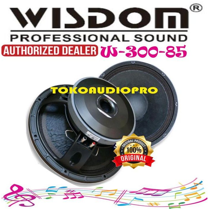 Component Speaker Wisdom W30085 Speaker Component W300-85
