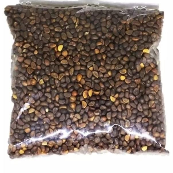 AnKn Bibit Benih Kangkung Sayur hidroponik