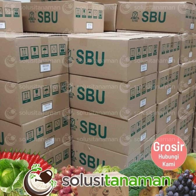 benih sayuran kailan kale @20gr - biji bibit sayur tanaman hidroponik
