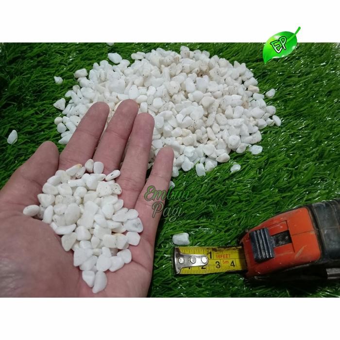 Batu Koral Putih Italy Import 10Kg Via Cago