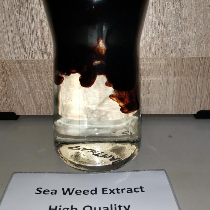 Seaweed Extract Pupuk Organik ( 1 Kg )