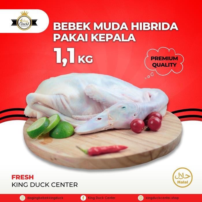 

New DAGING BEBEK HIBRIDA 1,1 KG PAKAI KEPALA