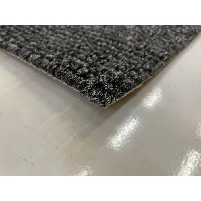 Karpet TS NOBEL Karpet perangkap emas karpet tambang emas karpet kantor