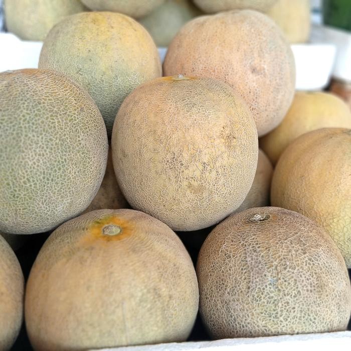 

buah melon madu/daging lembut manis banyak air New