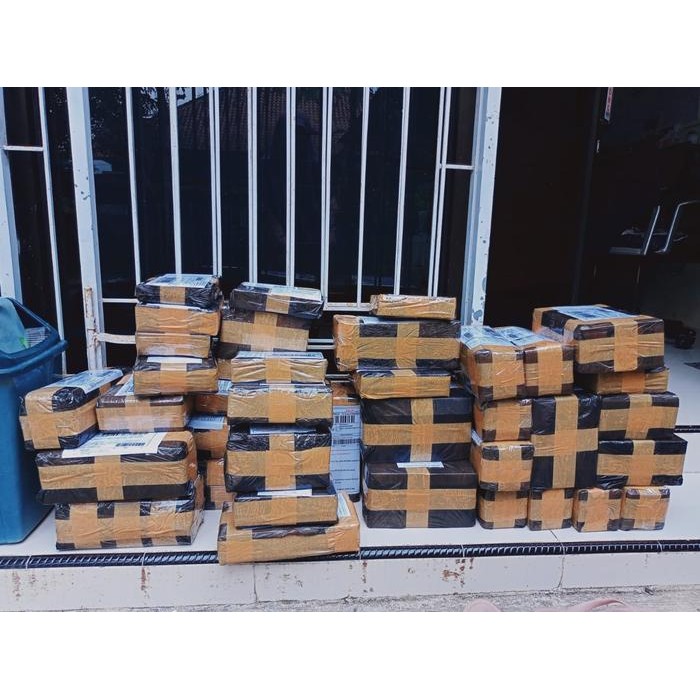 Pupuk Anti Busuk Tanaman Tomat, Floraone Pupuk PGPR, Rhizobium Sp Cair