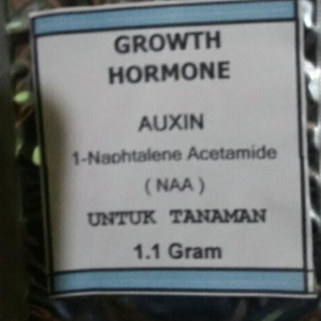 AUXIN NAA HORMONE ZPT PUPUK AKAR TANAMAN