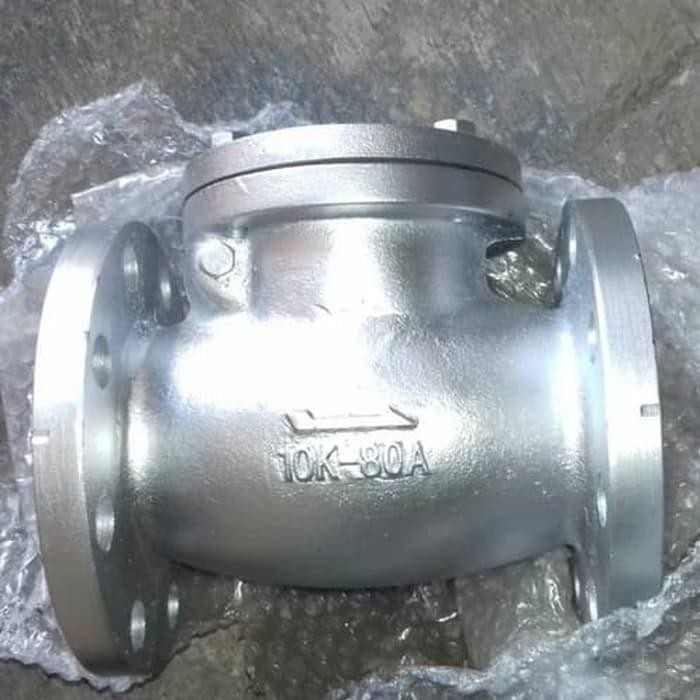 SWING CHECK VALVE 4 INCH CAST IRON JIS 10K