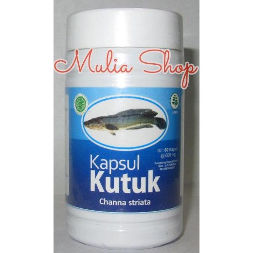TOP" KAPSUL IKAN KUTUK (GABUS) MABRUUK