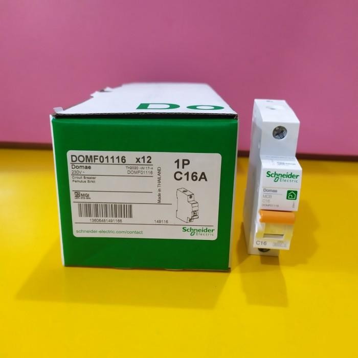 Cuci Gudang Mcb 16A Schneider