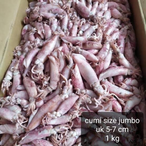 

Cumi asin rebus size jumbo 1kg ( beli 1 gratis 150 gram size jumbo)
