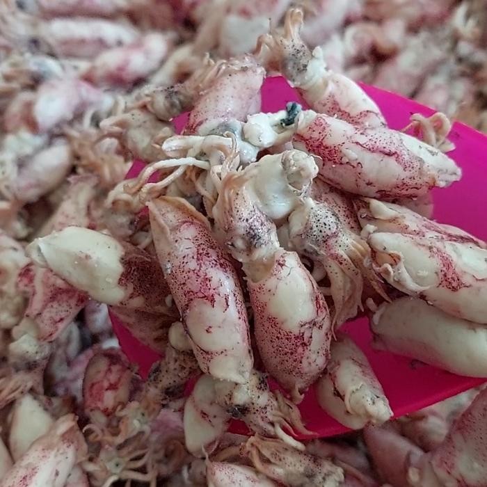 

cumi asin jarum 10kg