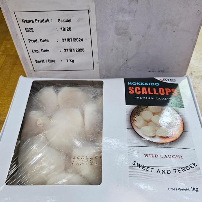 

scallop jepang jumbo