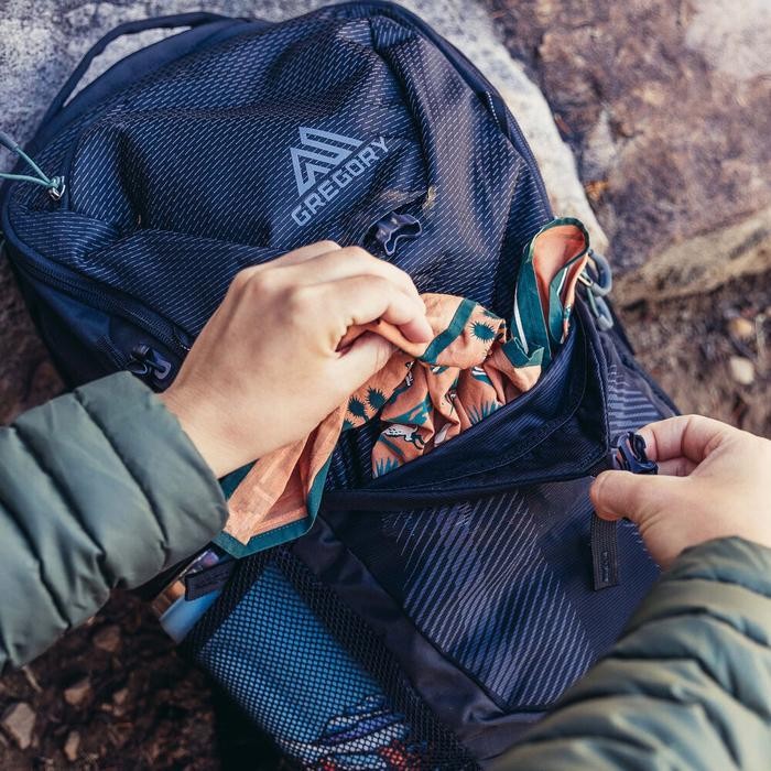 Terbaru Gregory Nano 24 Backpack