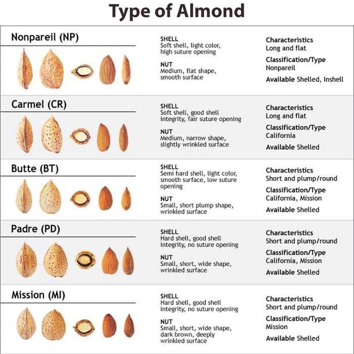 

Kacang Almond 500Gr (Natural Raw Almond)