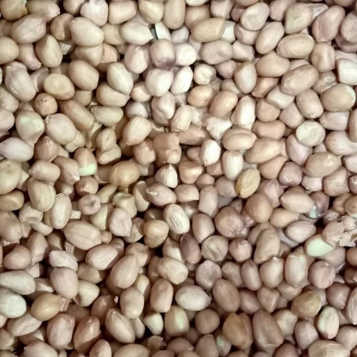 

(Expert) Kacang Tanah Tuban 8mm kemasan 1 kg