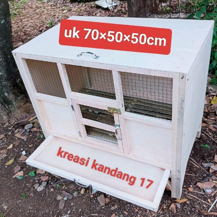 kandang anak ayam / kandang doc