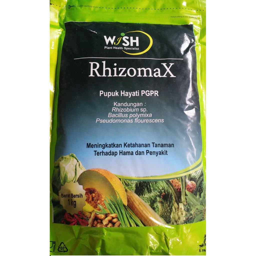Pupuk PGPR (Rhizomax)