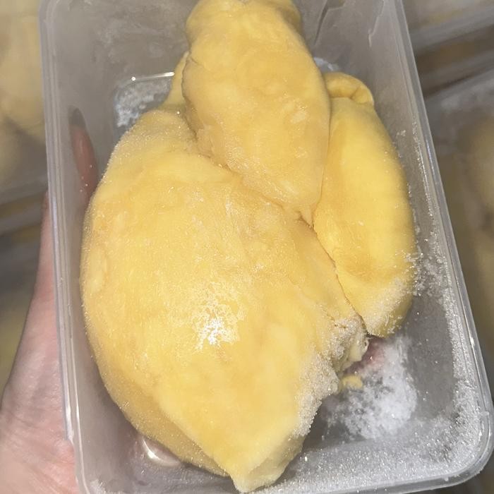 

Glx durian montong palu parigi