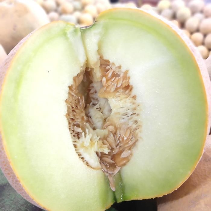 

Glx buah melon madu/melon hijau