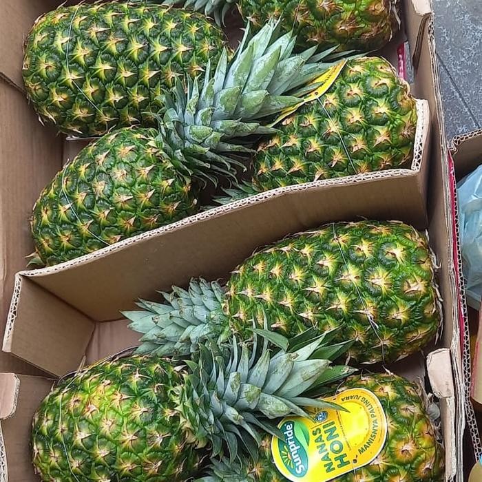 

Glx Nanas nanas sunpride nanas hony nanas madu
