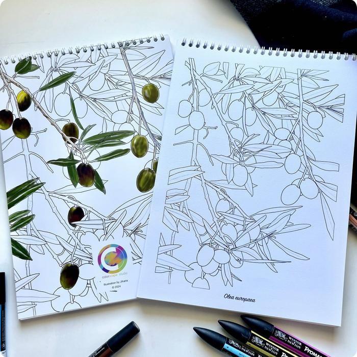 

Coloring Book Plant Series Volume 2 - For Markers & Mixed Media Gratisongkir