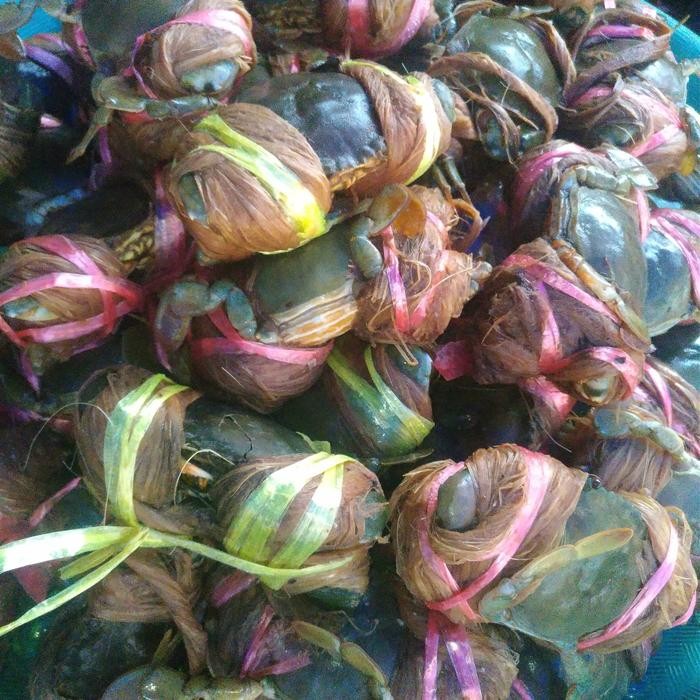 

Gdh Jual Kepiting Bakau segar per kg