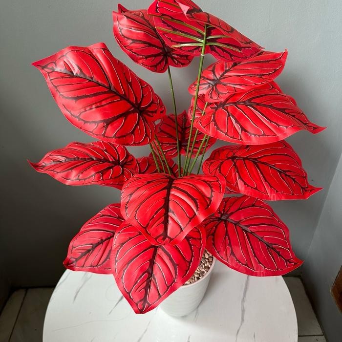 KELADI ARTIFICIAL MERAH POLOS(sudah+pot) Latex Plastik